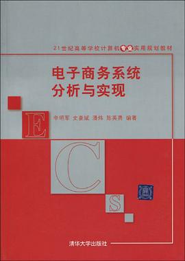电子商务系统分析与实现 pdf epub mobi 电子书 下载