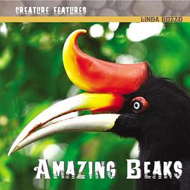 Amazing Beaks pdf epub mobi 下载