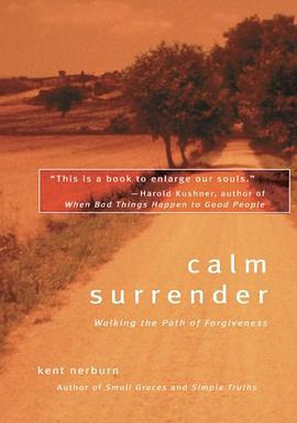 Calm Surrender pdf epub mobi 电子书 下载