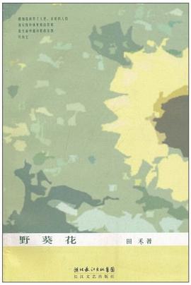 野葵花 pdf epub mobi 电子书 下载