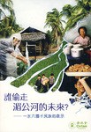 谁偷走湄公河的未来？ pdf epub mobi 电子书 下载