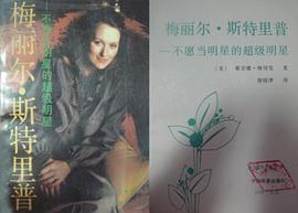 梅麗爾·斯特裏普——不願當明星的超級明星 pdf epub mobi 電子書 下載