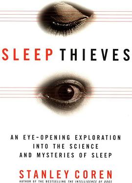 Sleep Thieves pdf epub mobi 电子书 下载