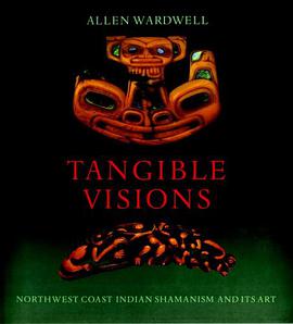 Tangible Visions pdf epub mobi 电子书 下载