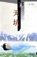 天坑 pdf epub mobi 电子书 下载