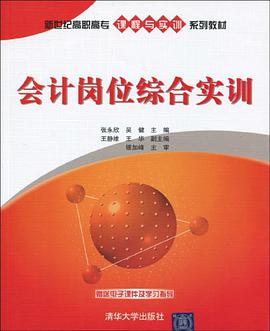 会计岗位综合实训 pdf epub mobi 电子书 下载