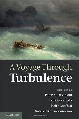 A Voyage Through Turbulence pdf epub mobi 電子書 下載