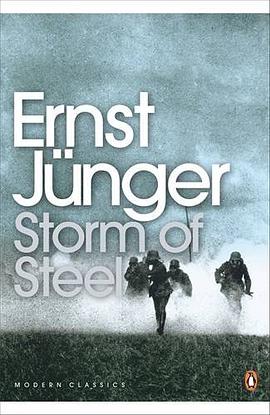 STORM OF STEEL pdf epub mobi 电子书 下载