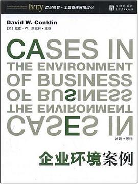 企业环境案例 pdf epub mobi 电子书 下载