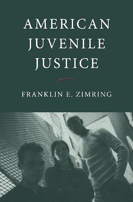 American Juvenile Justice pdf epub mobi 电子书 下载