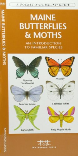 Maine Butterflies & Moths pdf epub mobi 电子书 下载
