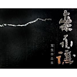栾永让写生作品集 pdf epub mobi 电子书 下载