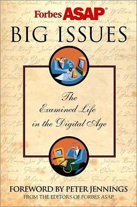 Big Issues pdf epub mobi 电子书 下载