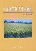 小麦高产栽培技术原理 pdf epub mobi 电子书 下载