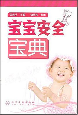 宝宝安全宝典 pdf epub mobi 电子书 下载