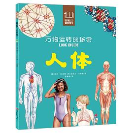 万物运转的秘密：人体 pdf epub mobi 电子书 下载