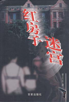 红房子迷宫 pdf epub mobi 电子书 下载