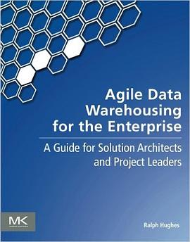 Agile Data Warehousing for the Enterprise: A Guide for Solution Architects and Project Leaders pdf epub mobi 電子書 下載