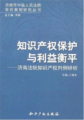 知识产权保护与利益衡平 pdf epub mobi 电子书 下载