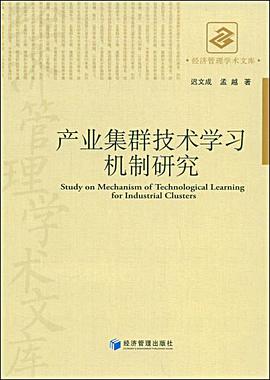 产业集群技术学习机制研究 pdf epub mobi 电子书 下载