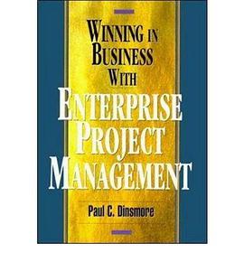 WINNING IN BUS W/ENTERPRISE PROJ MGMT pdf epub mobi 电子书 下载