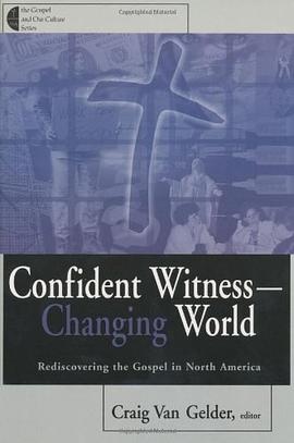 Confident Witness pdf epub mobi 电子书 下载