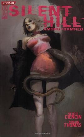 Silent Hill pdf epub mobi 下载