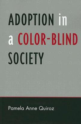 Adoption in a Colorblind Society pdf epub mobi 电子书 下载