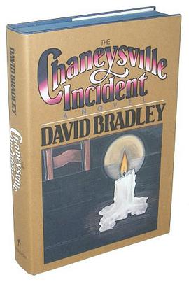 The Chaneysville Incident pdf epub mobi 电子书 下载