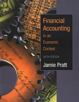 Financial Accounting in an Economic Context pdf epub mobi 电子书 下载