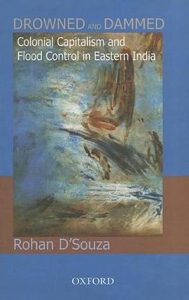 Drowned and Damned pdf epub mobi 电子书 下载