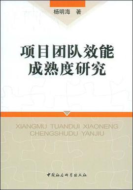 项目团队效能成熟度研究 pdf epub mobi 电子书 下载