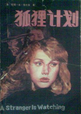 狐狸计划 pdf epub mobi 电子书 下载