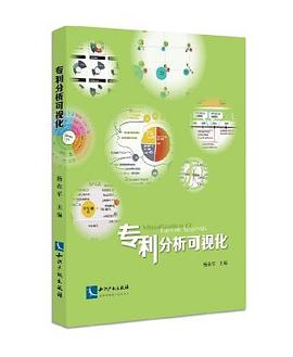 专利分析可视化 pdf epub mobi 电子书 下载