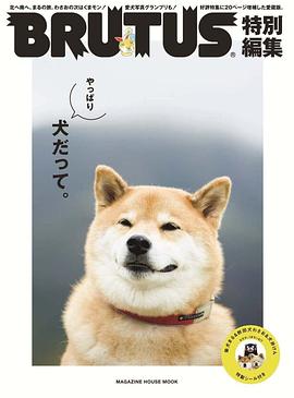 BRUTUS pdf epub mobi 电子书 下载