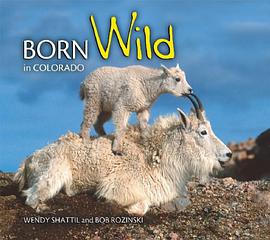 Born Wild in Colorado pdf epub mobi 电子书 下载