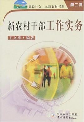 新农村干部工作实务 pdf epub mobi 电子书 下载
