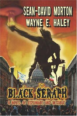 Black Seraph pdf epub mobi 电子书 下载
