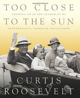 Too Close to the Sun pdf epub mobi 电子书 下载