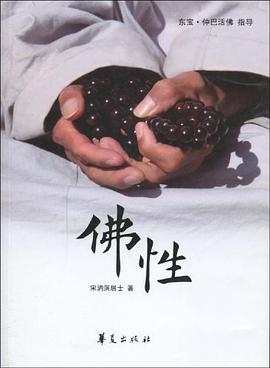 佛性 pdf epub mobi 电子书 下载
