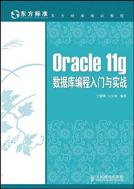 Oracle 11g数据库编程入门与实战