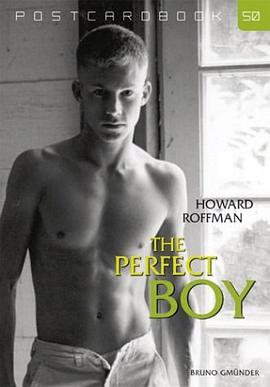 The Perfect Boy pdf epub mobi 电子书 下载