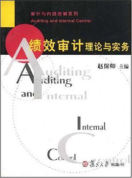 绩效审计理论与实务 pdf epub mobi 电子书 下载