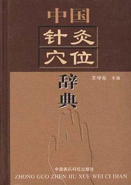 中国针灸穴位辞典 pdf epub mobi 电子书 下载