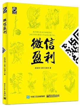 微信盈利 pdf epub mobi 电子书 下载