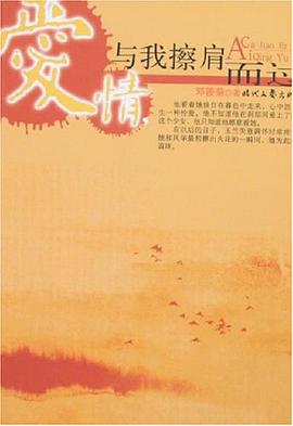 爱情,与我擦肩而过 pdf epub mobi 电子书 下载