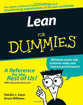 精准傻瓜书  Lean For Dummies pdf epub mobi 电子书 下载