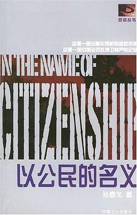 以公民的名义 pdf epub mobi 电子书 下载
