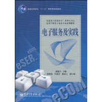 电子服务及实践 pdf epub mobi 电子书 下载
