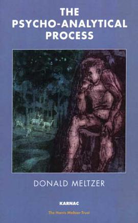 The Psycho-Analytical Process pdf epub mobi 电子书 下载